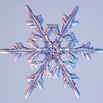 snowflake