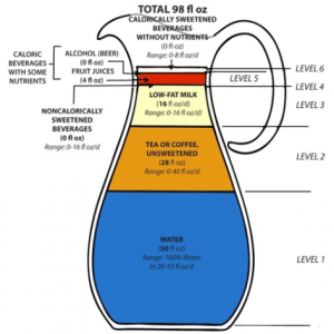 The Harvard Chan School of Public Health liquid consumption guideline